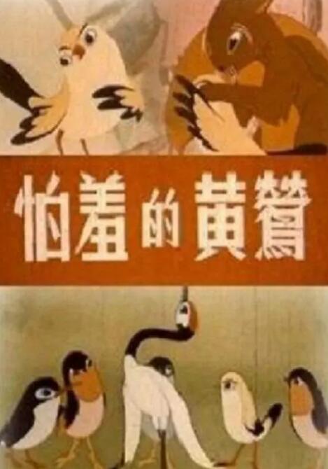 三极毛片