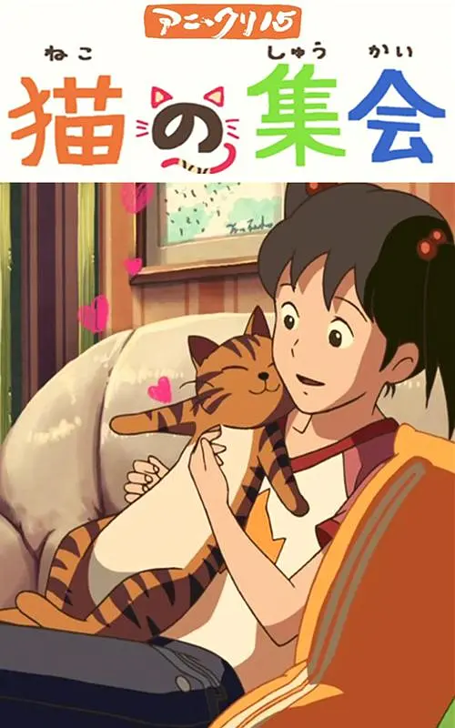 日韩不卡高清视频