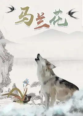 国产电影三区