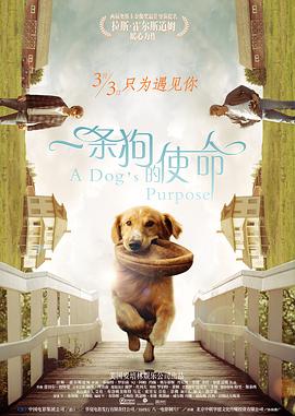 揉发育的小乳h