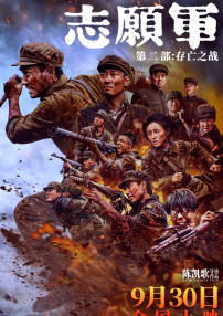国家外汇管理局王春英