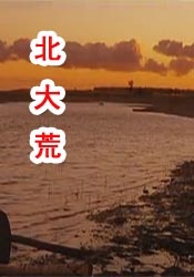 欧美午夜一区二区福利视频