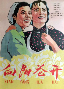 吕总和张的视频