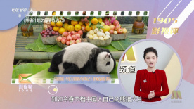 四虎影院永久免费
